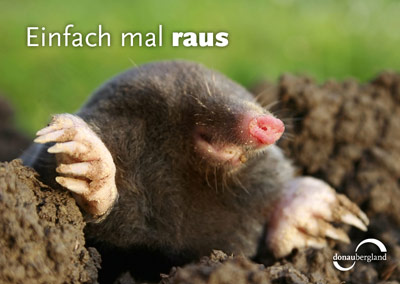 Postkartenmotiv von Donaubergland, Maulwurf schaut aus einem Maulwurfhügel